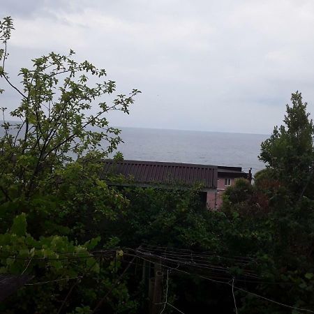 Zeleniy Dvorik Guest House New Athos Exterior foto
