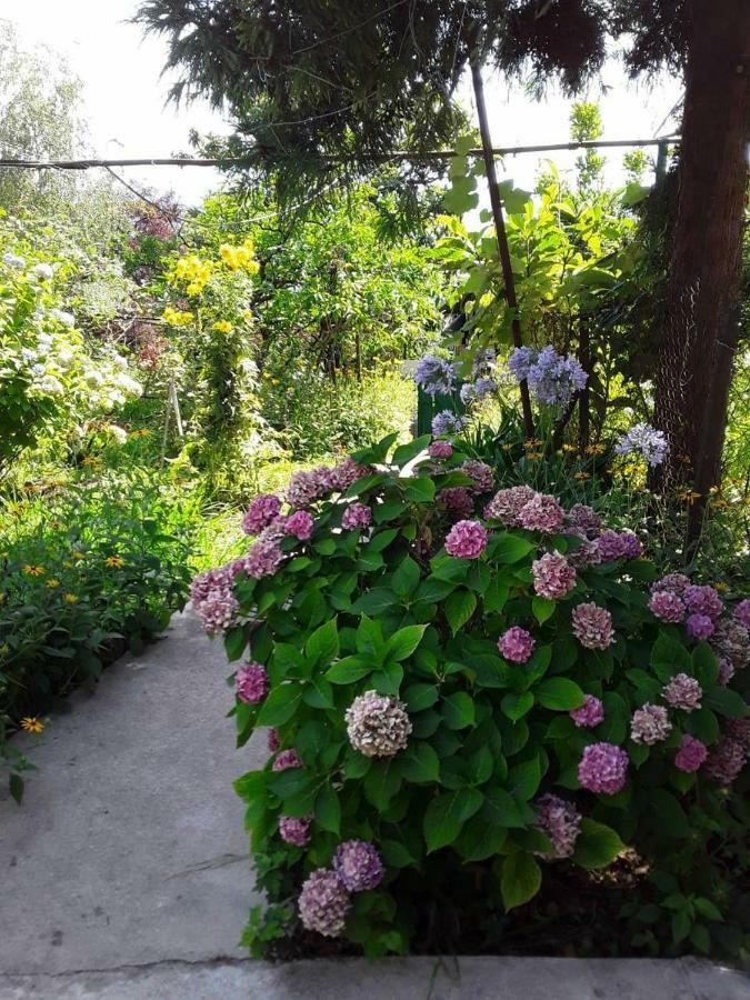 Zeleniy Dvorik Guest House New Athos Exterior foto